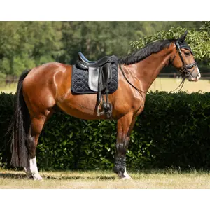 Mantilla para caballos QHP Fading image-3