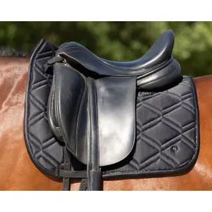 Esteira de dressage para cavalos QHP Djune image-1