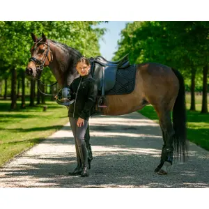 Esteira de dressage para cavalos QHP Djune image-3