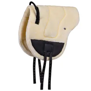 Riding mat for horses QHP Ontario