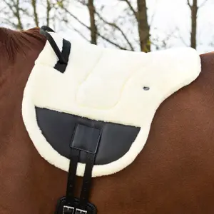 Riding mat for horses QHP Ontario image-5