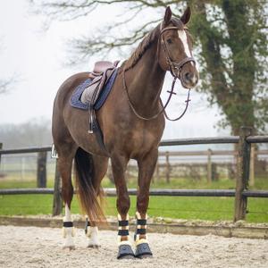 Dressurmåtter til heste QHP Sensisoft image-4