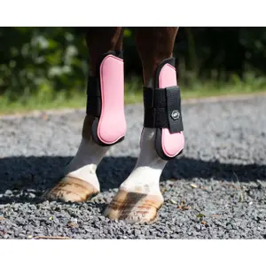 Offene Vorderbeingamaschen QHP image-1