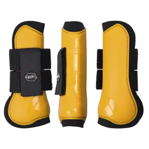 Front gaiters for open horses QHP image-0