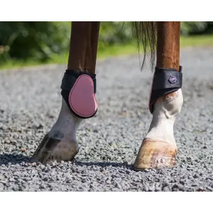 Klauenschutz für Pferde QHP image-1