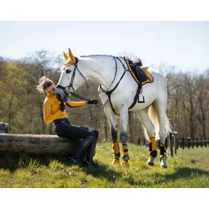 Cloches pour cheval QHP Technical image-1