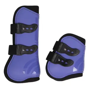 Ensemble guêtres antérieurs et protège boulets QHP image-0