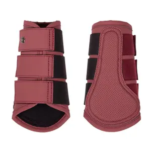 Geschlossene Vorderbeingamaschen QHP Summer Glow image-0