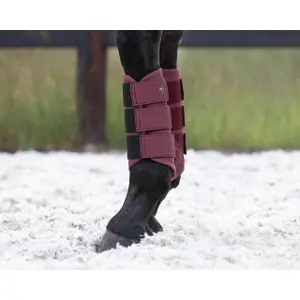 Geschlossene Vorderbeingamaschen QHP Summer Glow image-1