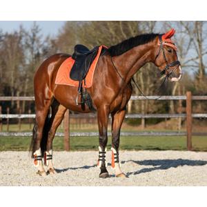 Open horse gaiters QHP Menton image-1