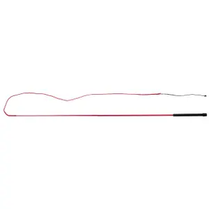 Horseback riding QHP image-0