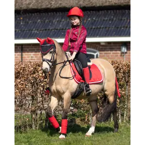 Fusta equitación QHP Halloween image-2