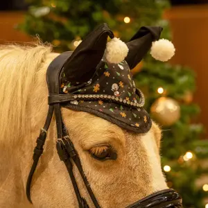 Βραχύς μπεζές για άλογο QHP Noël image-2