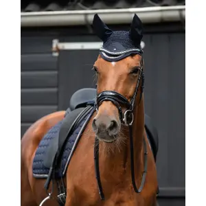 Bonnet pour cheval QHP Denver image-2