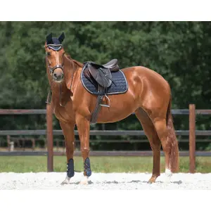 Bonnet pour cheval QHP Denver image-3