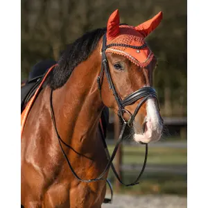 Bonnet court pour cheval QHP Menton image-1