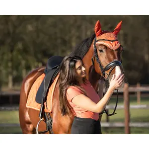 Bonnet court pour cheval QHP Menton image-2