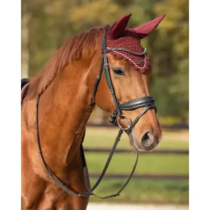 Bonnet court pour cheval QHP Qiara image-1