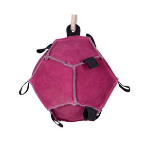 Paardenbal speelgoed QHP image-1