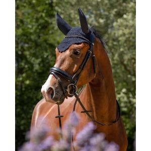 Kort hestehue QHP Flore image-1