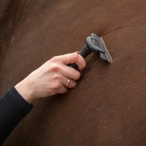 Moulting comb for horses QHP image-2