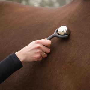 Rouleau de massage pour chevaux QHP image-2