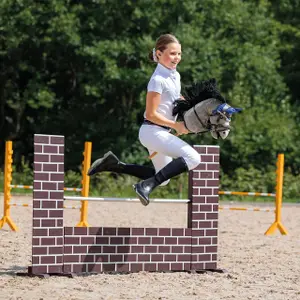 Hobby Horse pour enfant QHP Martingale image-3