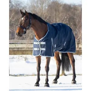 Outdoor horse blanket QHP Turnot 600 300 g image-1