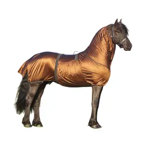 Eksemtäcke för hästar med stort halsband QHP image-0