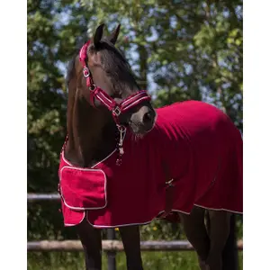 Manta equitación polar QHP Ornament image-1