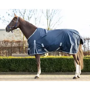 Waterdicht en fleece paardendeken QHP Turnout 300g image-0