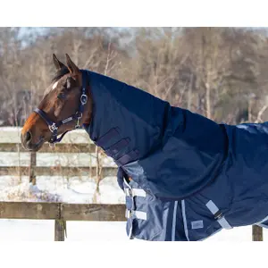 Waterproof horse blanket QHP 200 g image-1