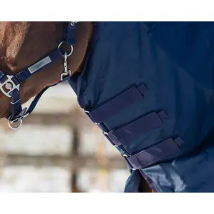 Waterproof horse blanket QHP 200 g image-2