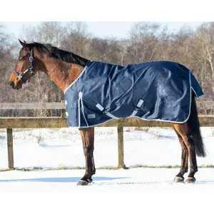 Outdoor horse blanket QHP Turnot 600 300 g image-0
