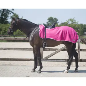 Fleece horse rugs QHP Color image-0