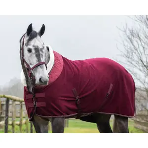 Manta equitación polar QHP Brilliance image-1