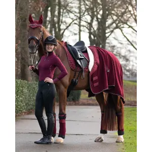 Manta equitación polar QHP Brilliance image-2