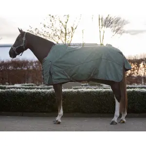Outdoor horse blanket QHP Collection 50gr image-0