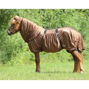 Couverture anti-eczéma pour cheval QHP Icelandic image-0