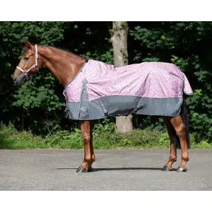 Couverture imperméable pour cheval QHP 0 g image-0