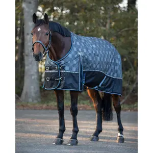 Outdoor horse blanket QHP Turnout Collection 150g image-1