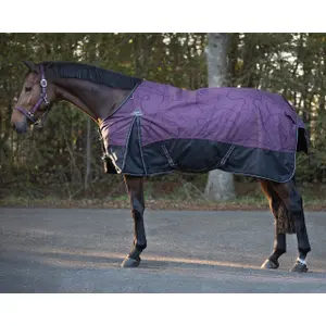 Waterproof fleece blanket  QHP collection Mystical 50gr image-0