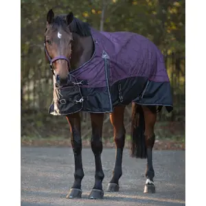 Waterproof fleece blanket  QHP collection Mystical 50gr image-1