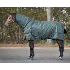 Waterproof horse fleece blanket with detachable neck cover QHP collection Botanista 150gr image-0