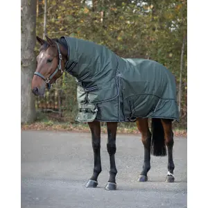 Waterproof horse fleece blanket with detachable neck cover QHP collection Botanista 150gr image-1