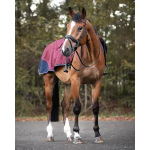 Wasserdichte Nierendecke für Pferde QHP collection Cherry image-1