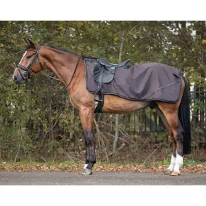 Waterproof horse rugs QHP collection Crocodile image-0