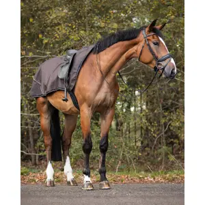 Waterproof horse rugs QHP collection Crocodile image-1