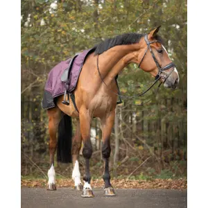 Wasserdichte Nierendecke mit Fleecefutter QHP Turnout image-1