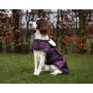 Casaco de cão QHP Turnout image-2